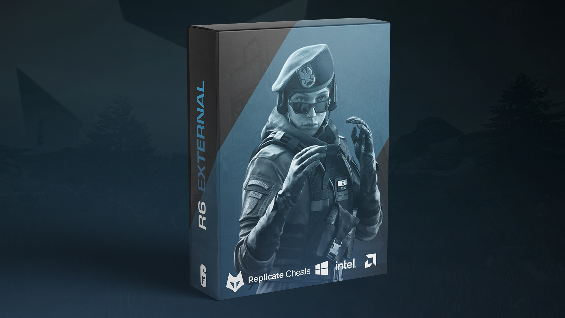 R6